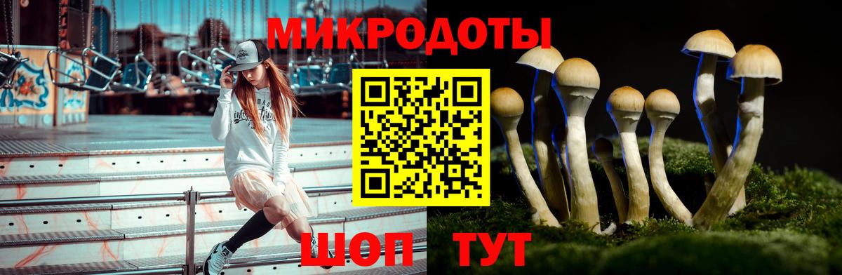 Псилоцибиновые грибы мухоморы  Вход с VPN  Лениногорск 